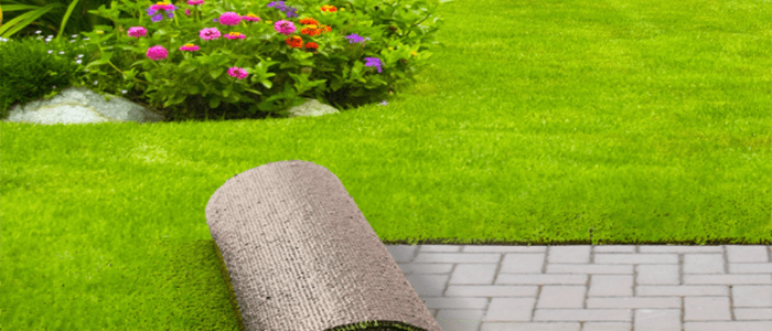 Benefits of the Artificial Grass Carpet